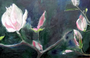 magnolia smutna